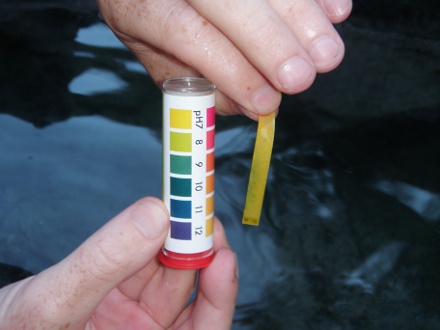 Holdover Hot Springs pH Holdover Hot Springs pH
