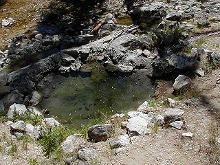 Blech! Now that's stagnant water! Blech! Now that's stagnant water!