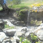 Loftus