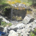 DSCN1526