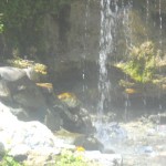 DSCN1528