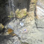 DSCN1529