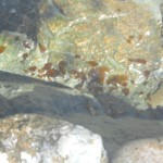 DSCN1533
