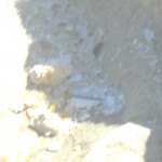 DSCN1534
