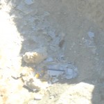 DSCN1535
