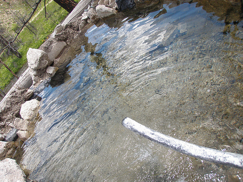 Molly's Hot Spring in Idaho