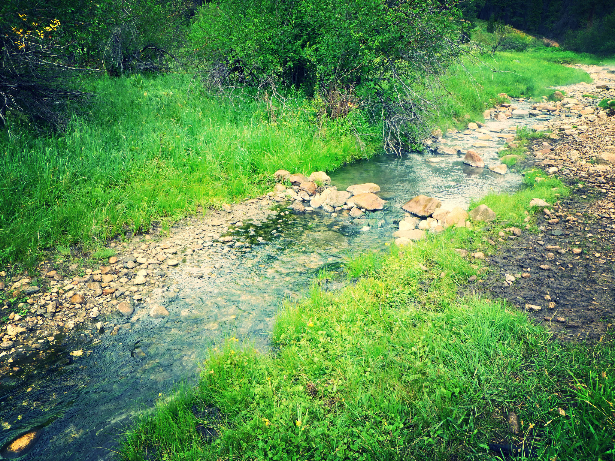 Submitted Trip Reports for Hot Springs in Idaho & Nevada