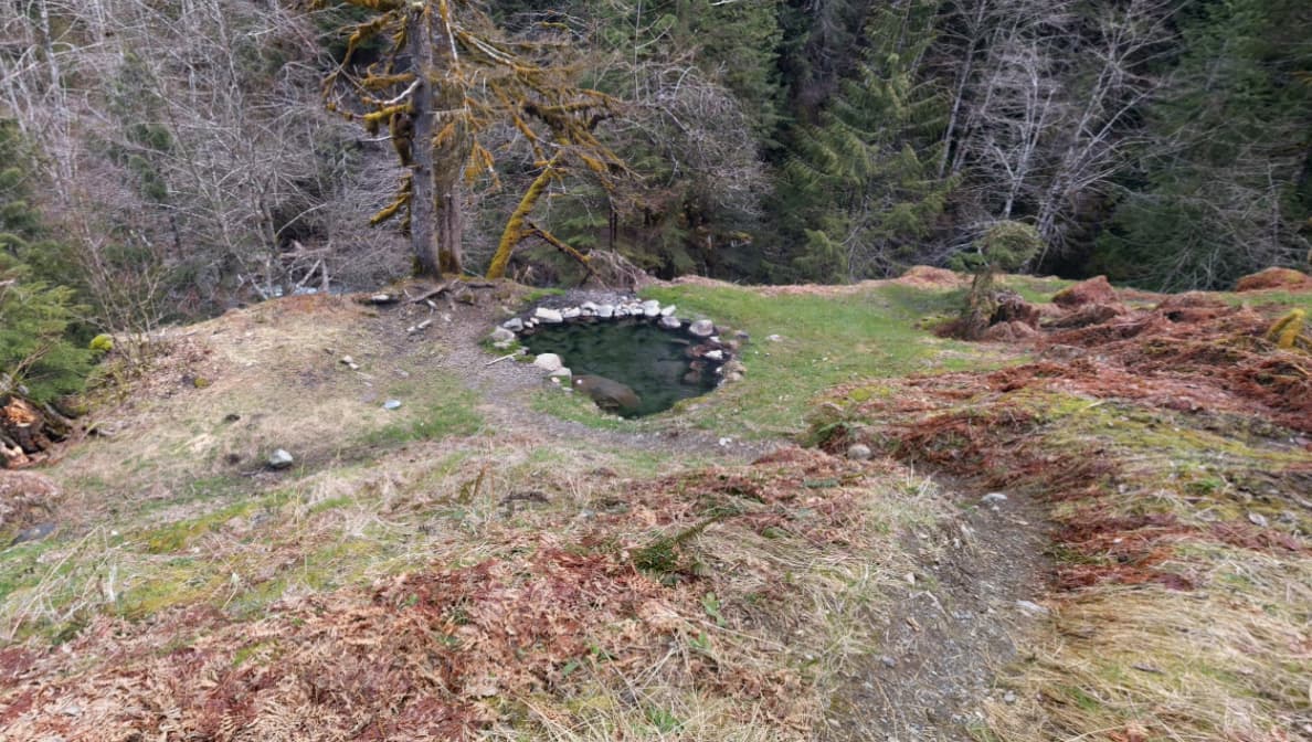 Olympic Hot Springs Pool